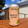 Psychedelic Frog - Hoppy Sour Ale | Ocho Beer
