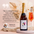 Altina Drinks Non Alcoholic Sparkling Rosé 750ml