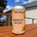 Psychedelic Frog - Hoppy Sour Ale | Ocho Beer
