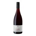 Sinapius 'Esme' Gamay 2024