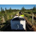 Macquariedale Rich Reds