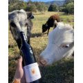 Macquariedale Rich Reds