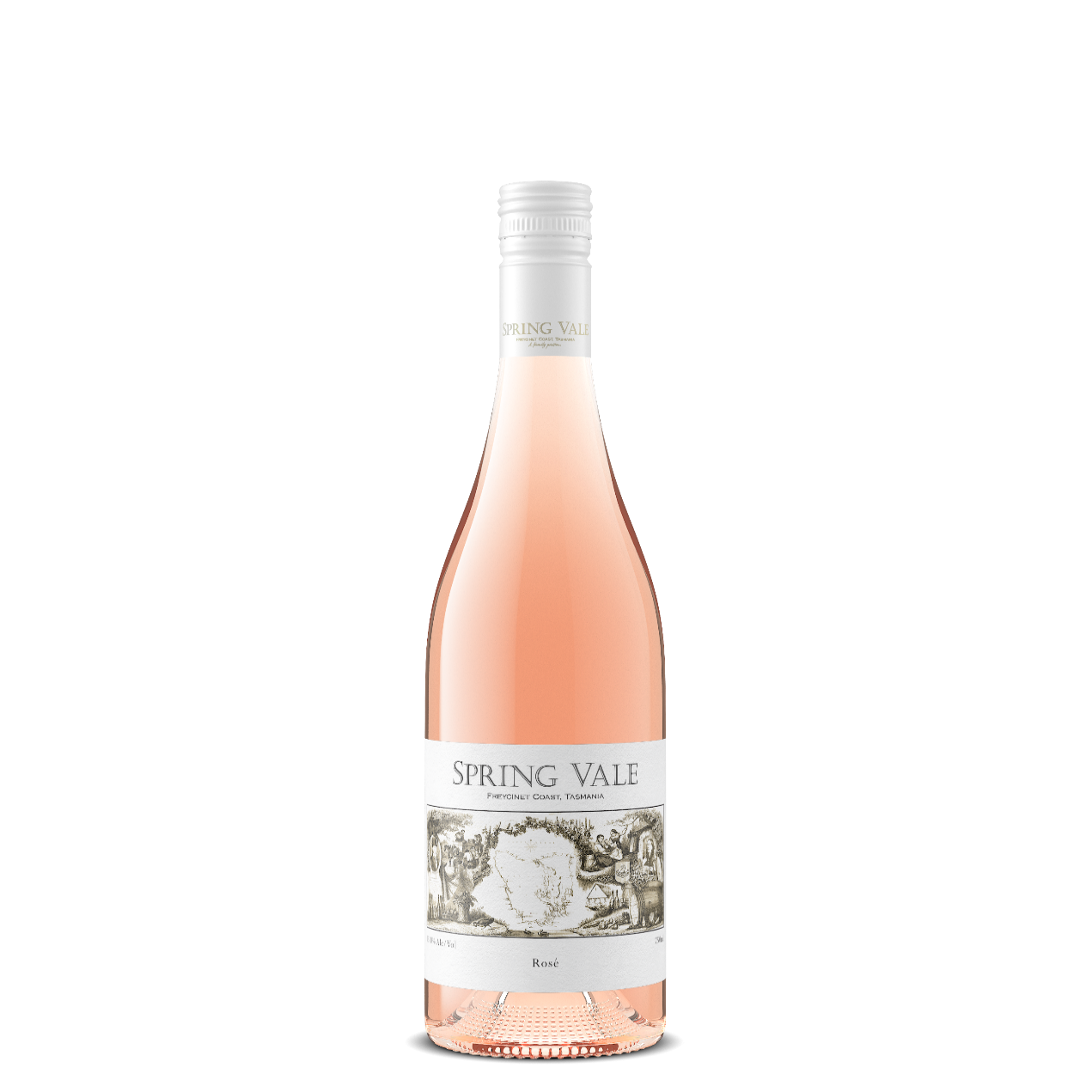 Spring Vale Rose 2025