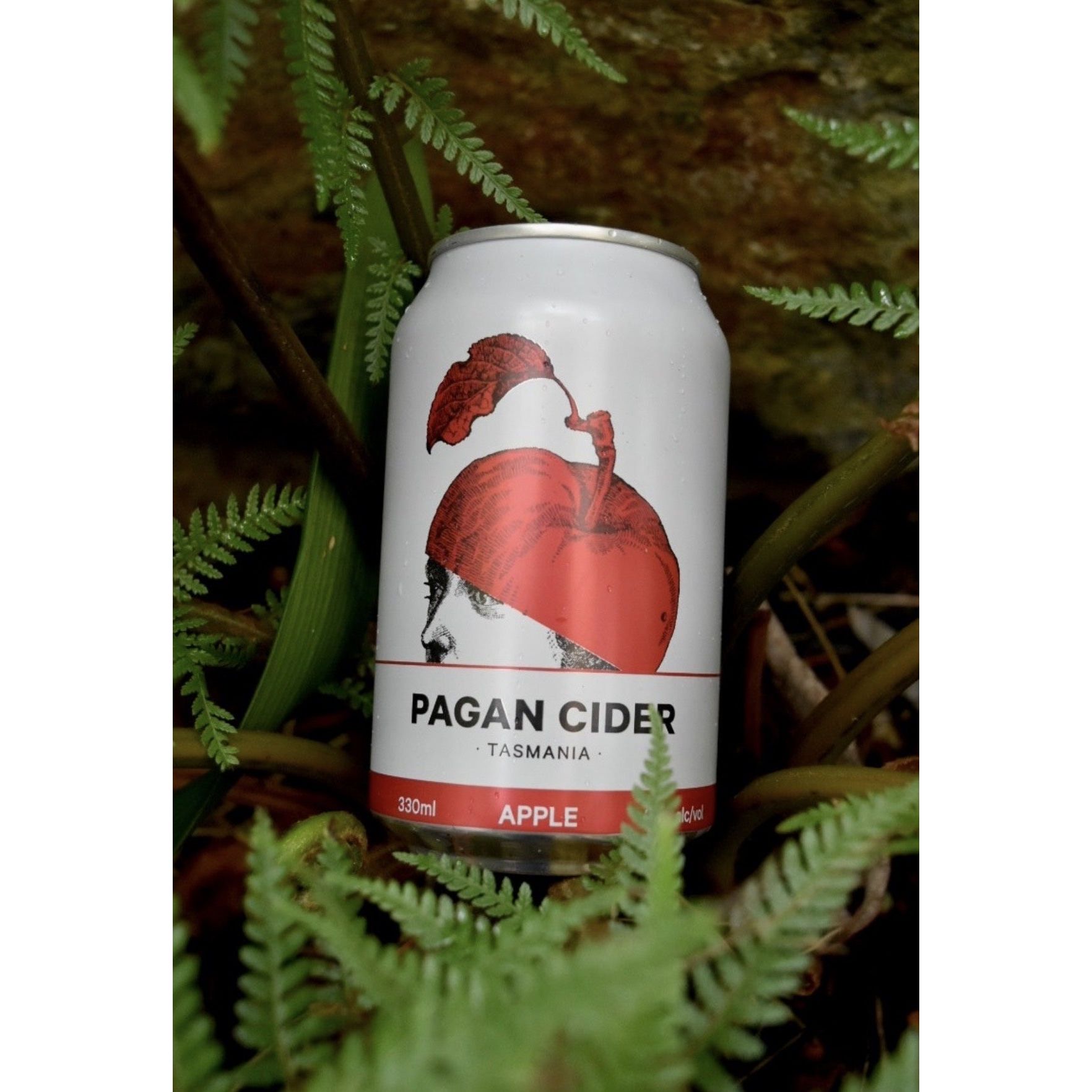 Pagan Apple Cider