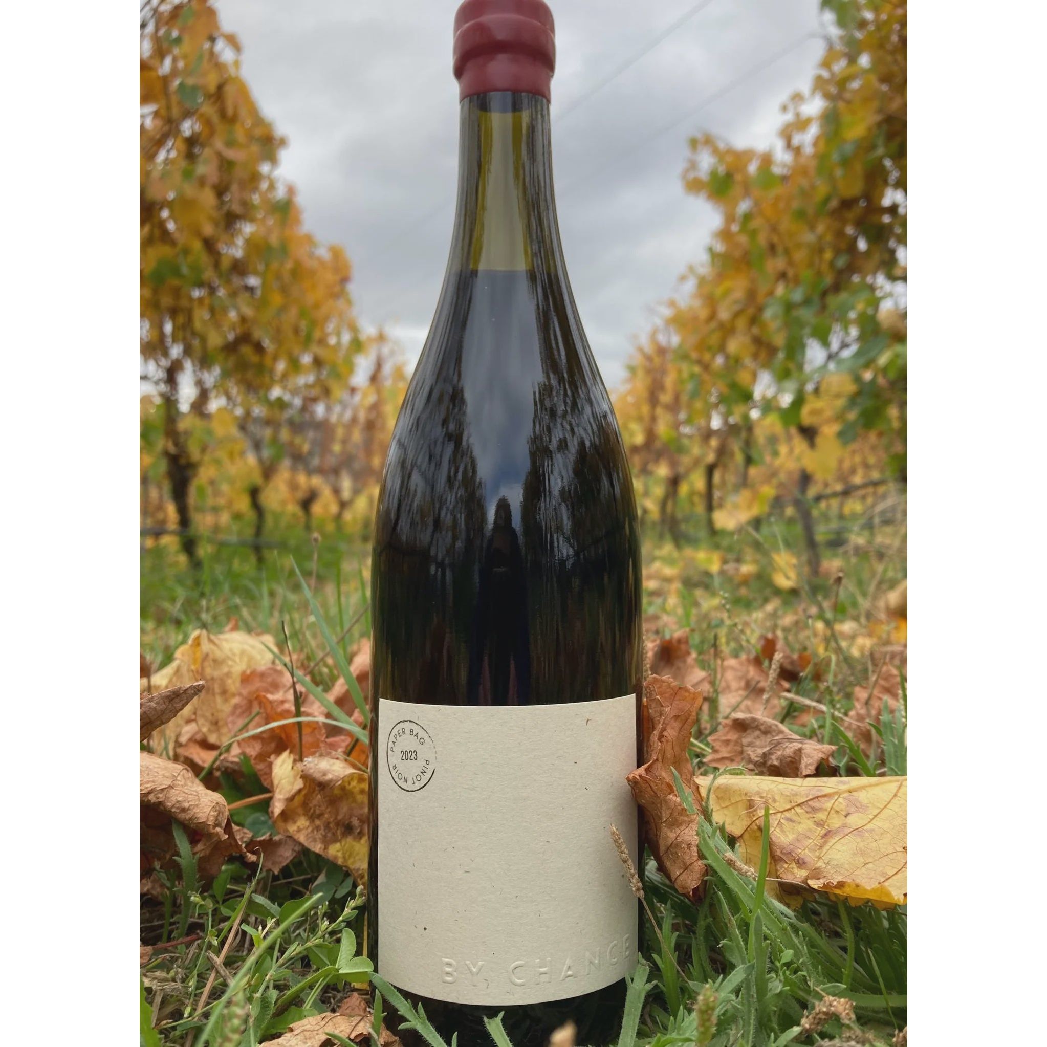 By Chance 'Paper Bag' Pinot Noir 2023