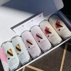 Altina Non Alcoholic Cocktail Can Taster Pack