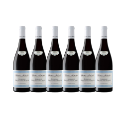 Chartron et Trébuchet Bourgogne Pinot Noir 2021