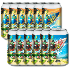 Bach Brewing All Day Duo: Non-Alcoholic IPA & Hazy IPA Bundle (12 Pack)
