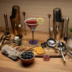 ARSSOO Bartender Kit: 11-Piece Cocktail Shaker Set | Professional Bar Tools, Boston Shakers, Lemon Squeezer, Cocktail Strainer (Julep, Mesh) | ARSSOO Kit (Silver)