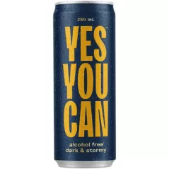 Yes You Can Dark & Stormy 0.00% Alc 250ml