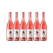 Altina Drinks Non Alcoholic Kakadu Plum Rose 750ml