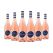 Jacob's Creek Le Petit Rosé (750ml) Case of 6