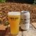 Miners Gold 'Fog on the Tamar' Hazy Pale Ale