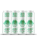 Sober Carpenter Organic Session IPA Non-Alcoholic Craft Beer 473ml