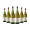 Squealing Pig Prosecco NV (750ml) Case of 6