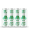 Sober Carpenter Organic Session IPA Non-Alcoholic Craft Beer 473ml