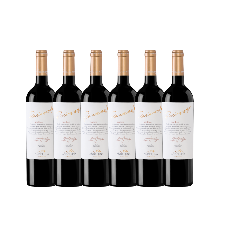 Bodgea Andeluna Pasionado Malbec 2019